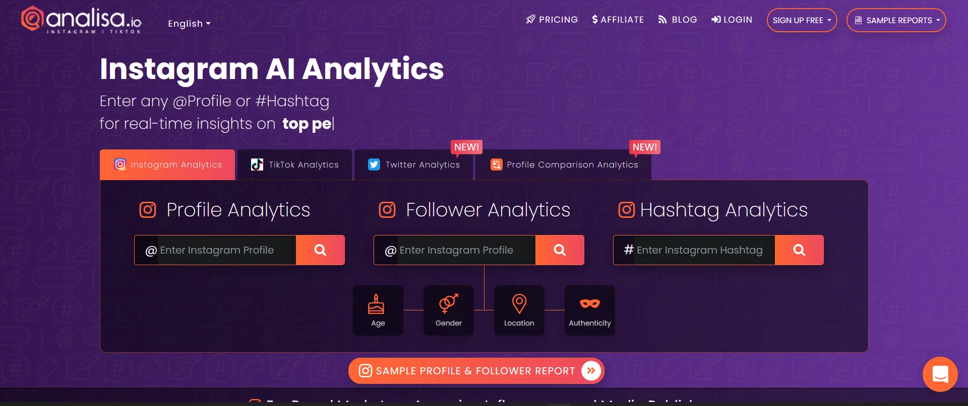  Instagram AI Analytics 