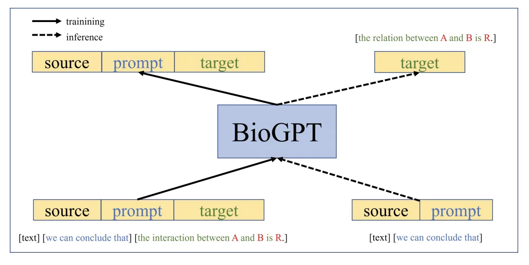  A Microsoft language model trained for biomedical