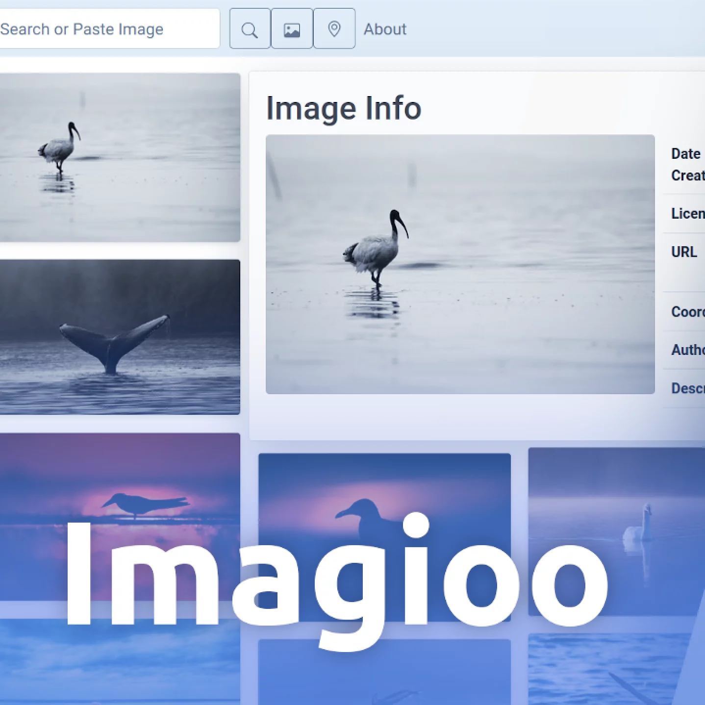  An Image Search Engine Using OpenAI Clip and