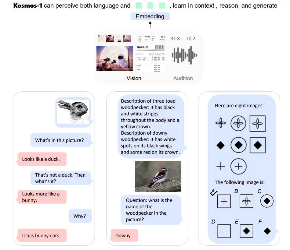  A Multimodal Large Language Model