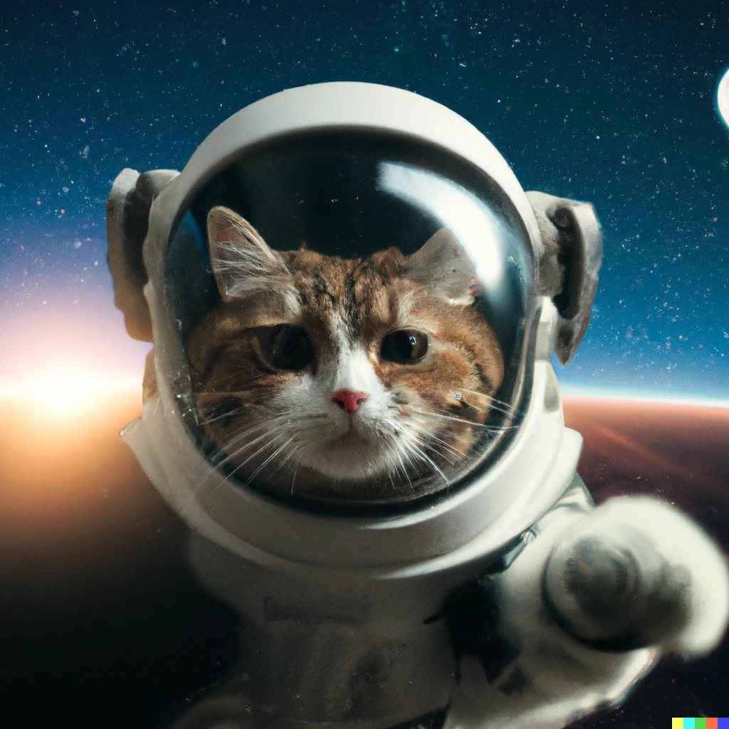  a photo of cat flying out to space as an
